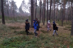 IMG_20200126_110218_1