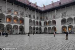 IMG_20221117_155112