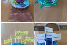 img-20241216-wa0002
