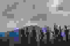 448314870_435537045966960_5408358203628068132_n